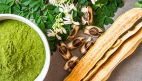 Moringa: benefici, controindicazioni e utilizzo come integratore
