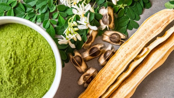 Moringa: benefici, controindicazioni e utilizzo come integratore