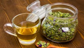 Sorsi di benessere: gemmoterapia e infusi alleati della salute