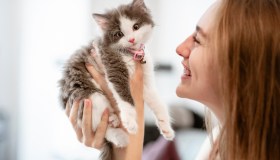 Programma vaccinale del gatto