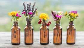 Fitoterapia: cos’è e cosa cura