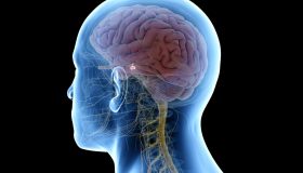 Tumori ipofisari: cosa sono, sintomi e trattamento