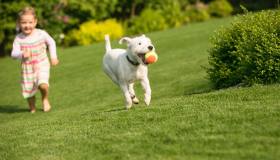 Il gioco, per rendere il cane sereno ed instaurare un legame forte con lui