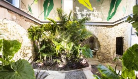 Così un palazzo abbandonato è diventato una foresta