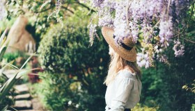 La leggenda del glicine