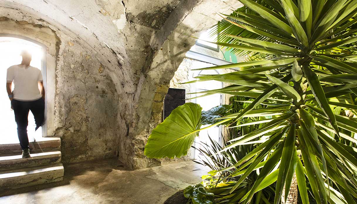 Huma Forest, il progetto