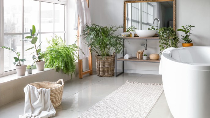 Quali piante scegliere per il bagno