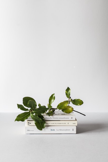 Moda sostenibile: 3 libri da leggere per saperne di più