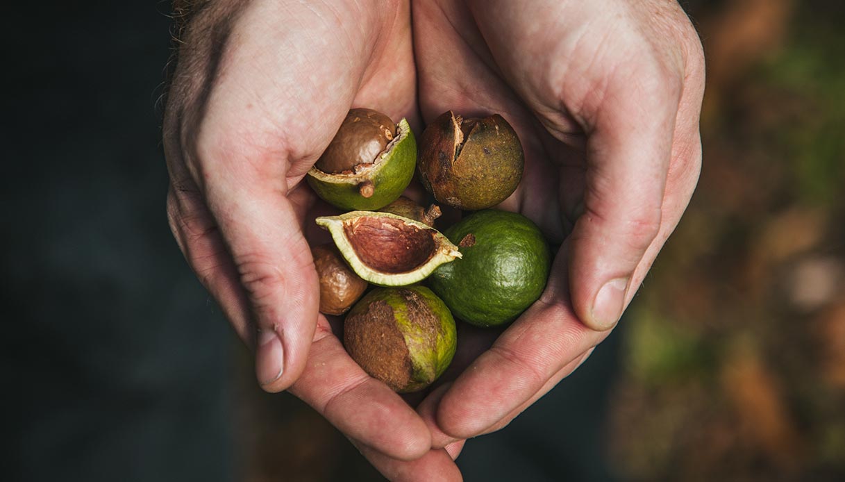 olio macadamia quale acquistare
