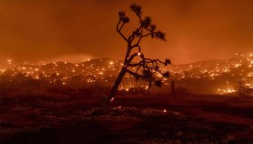 Chi sono gli esuli ambientali e perché nessuno è più al sicuro