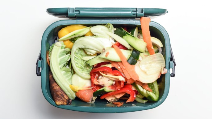 Cos’è lo spreco alimentare e tutti i progetti per evitarlo