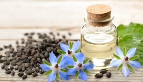 Borragine: proprietà, benefici e come utilizzarla
