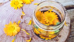 Calendula: come si coltiva, a cosa serve e come si usa