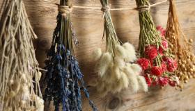 Come far seccare i fiori nel modo corretto