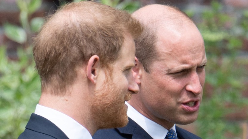 William e Harry fianco a fianco per Diana: tornano a sorridere