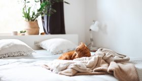 Tessuti sostenibili per letti e divani: cosa scegliere