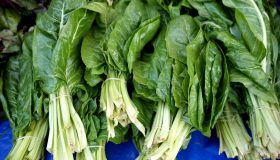 Bietola da costa: un ortaggio dalle mille virtù per la salute