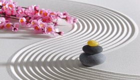 Giardino zen: cos’è, benefici e come realizzarlo