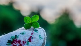Perché il quadrifoglio porta fortuna?