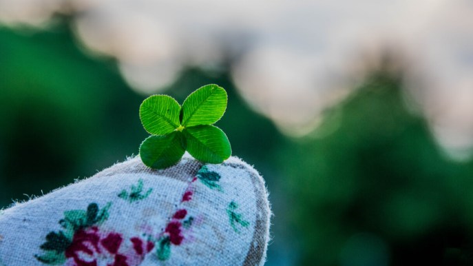 Perché il quadrifoglio porta fortuna?