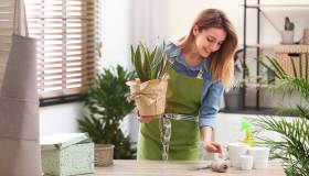 Regali per gli amanti delle piante: 10 idee regalo uniche per stupire