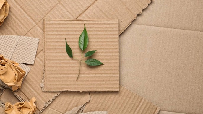 Carta da buttare? No, da riciclare!