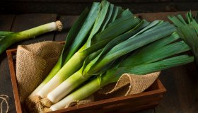 Porro, un aiuto naturale per favorire la diuresi e migliorare il transito intestinale