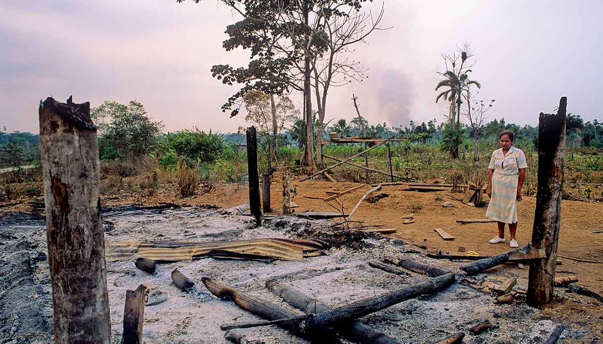 Gli omicidi degli attivisti ambientalisti