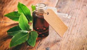 Alloro, come preparare l’infuso per capelli lisci e setosi