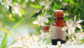 Arancio amaro: proprietà, benefici e utilizzi