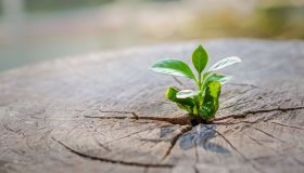 Rebirthing: cos’è, effetti ed esercizi