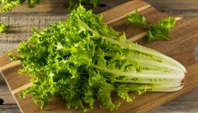 Indivia belga, riccia e scarola: il gusto amaro che ti depura