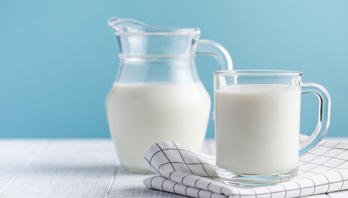 Latte di cavalla: perché berlo, quanto costa e dove trovarlo