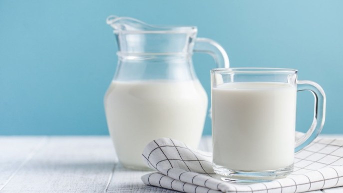 Latte di cavalla: perché berlo, quanto costa e dove trovarlo