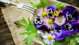 Fiori commestibili: quali sono, proprietà e come usarli in cucina