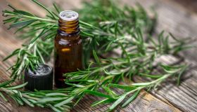 Olio essenziale di rosmarino: proprietà e come usarlo