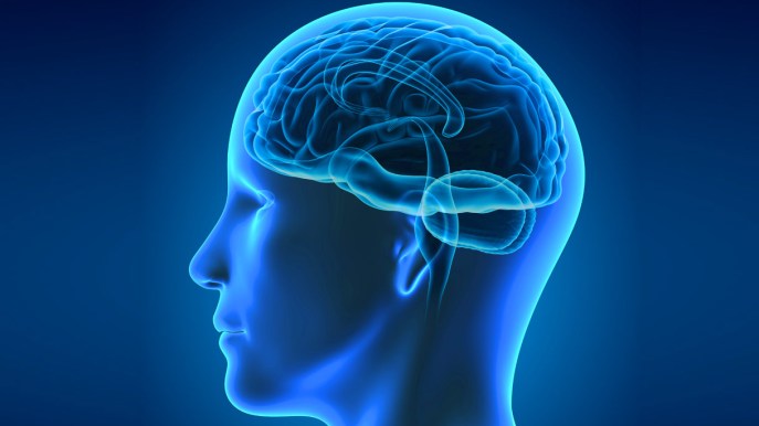 Frequentare un corso di cucina migliora la salute di corpo e mente