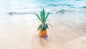 5 consigli per un’estate sostenibile: ecco cosa fare per essere green