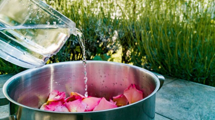 Acqua magica di San Giovanni, perché porta fortuna e come si prepara
