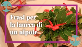 Frasi per la laurea di un nipote: come congratularsi in modo speciale