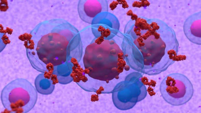 Mieloma multiplo: sintomi, diagnosi e cure