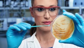 Candida auris e micosi invasive, cosa dobbiamo sapere