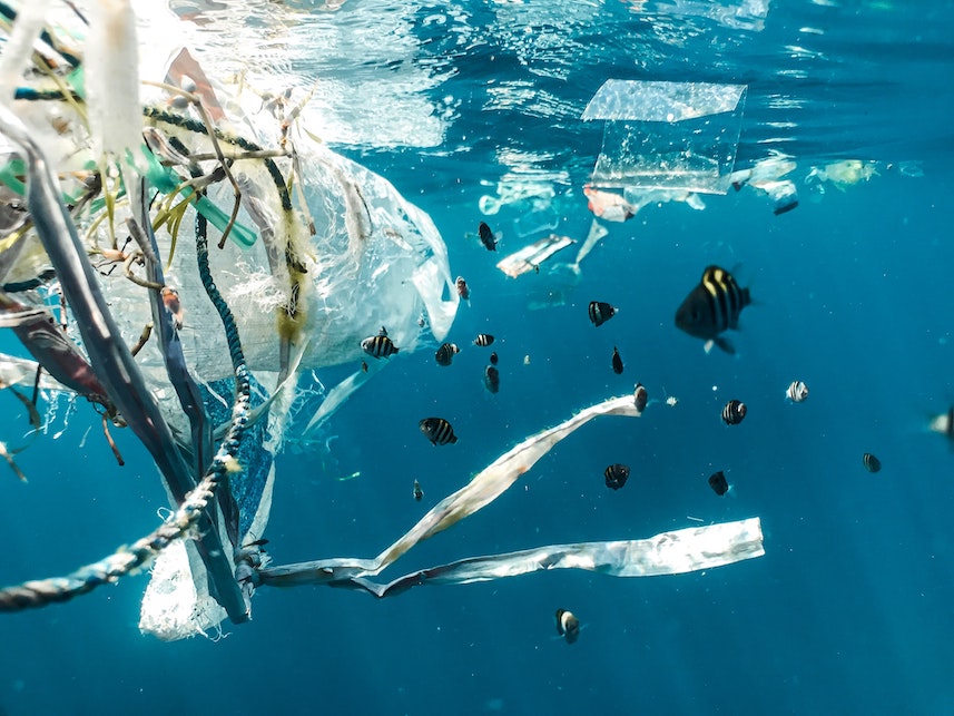 Plastic free July: come rendere la nostra vita senza plastica