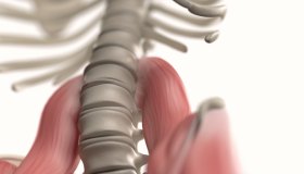 Come allungare lo psoas