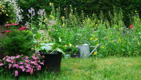Piante da giardino che resistono meglio a caldo e siccità