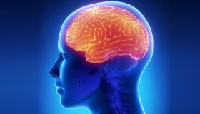 Allenare mente e corpo aiuta il cervello femminile (e non solo)