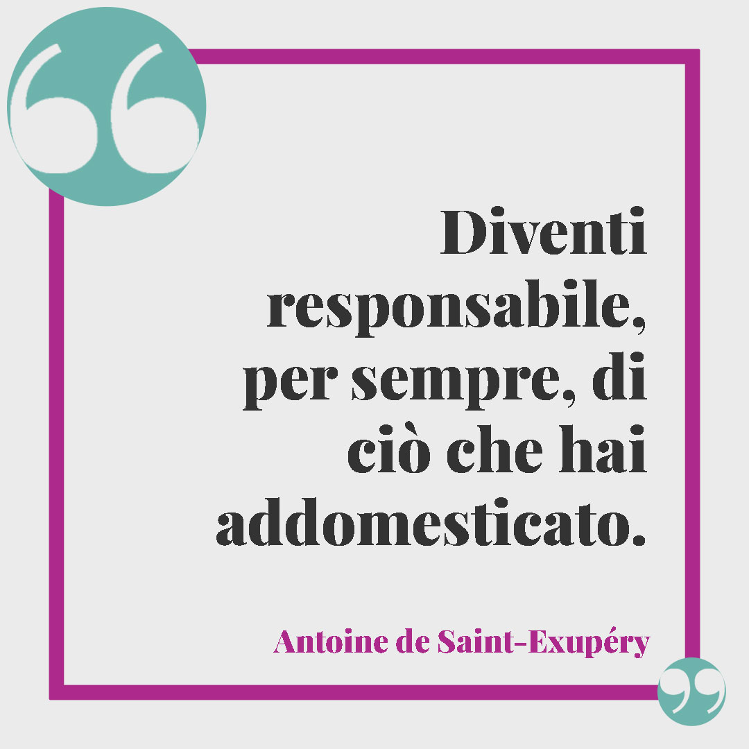 Frasi de Il Piccolo Principe. Diventi responsabile, per sempre, di ciò che hai addomesticato. Antoine de Saint-Exupéry