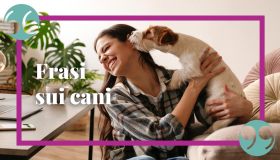 Aforismi e frasi famose sui cani, i migliori amici dell’uomo