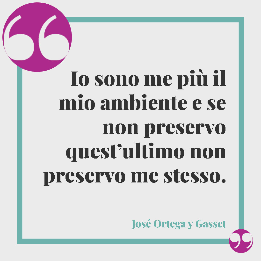 Frasi sulla natura. Io sono me più il mio ambiente e se non preservo quest’ultimo non preservo me stesso. (José Ortega y Gasset)