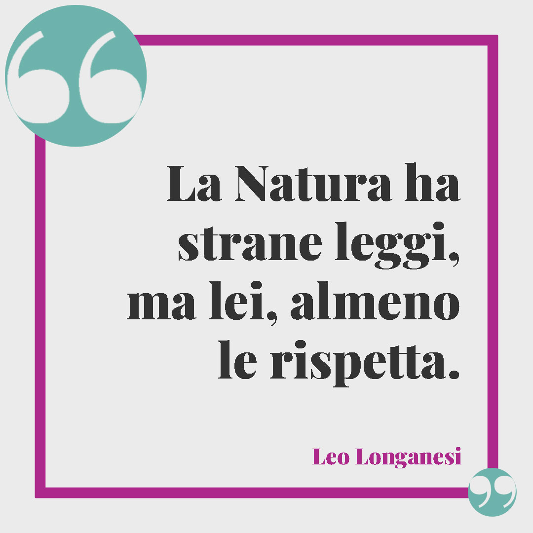 Frasi sulla natura. La Natura ha strane leggi, ma lei, almeno le rispetta. (Leo Longanesi)
